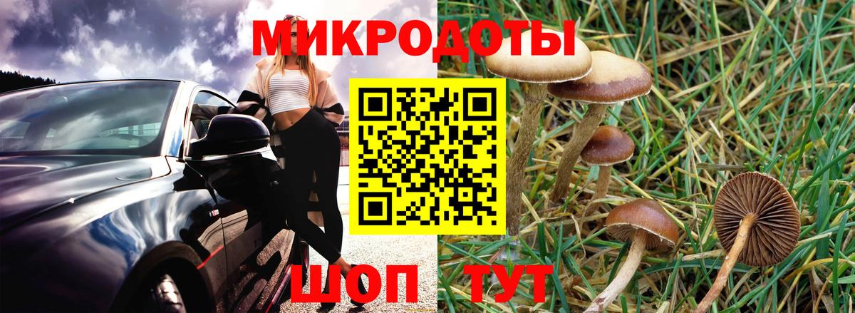 Галлюциногенные грибы Cubensis  Галлюциногенные грибы Psilocybe  Вход с VPN  Мытищи 
